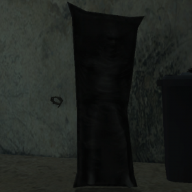 Bodybag