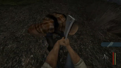 Executions In First Person View (IAM NOT THE CREATOR)