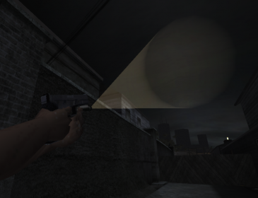 Glock With Torch