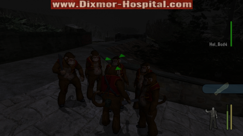 Monkeys Bodyguards