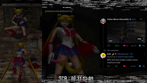 Sailor Moon skin mod